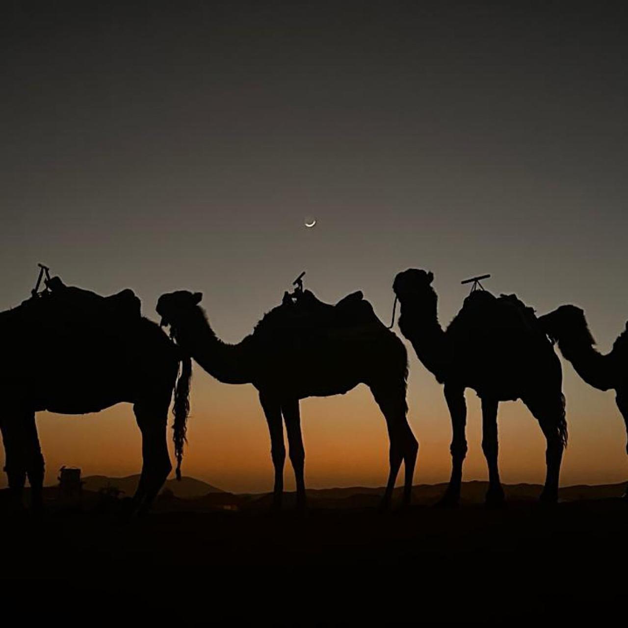 Authentic Luxury Camp Hotel Merzouga Luaran gambar